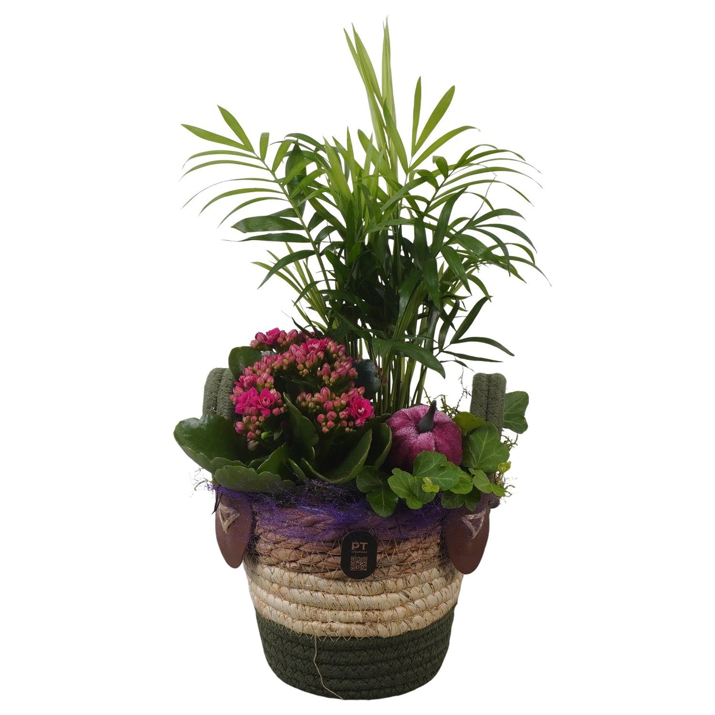 Indoor arrangement 36cm 14cm Pot