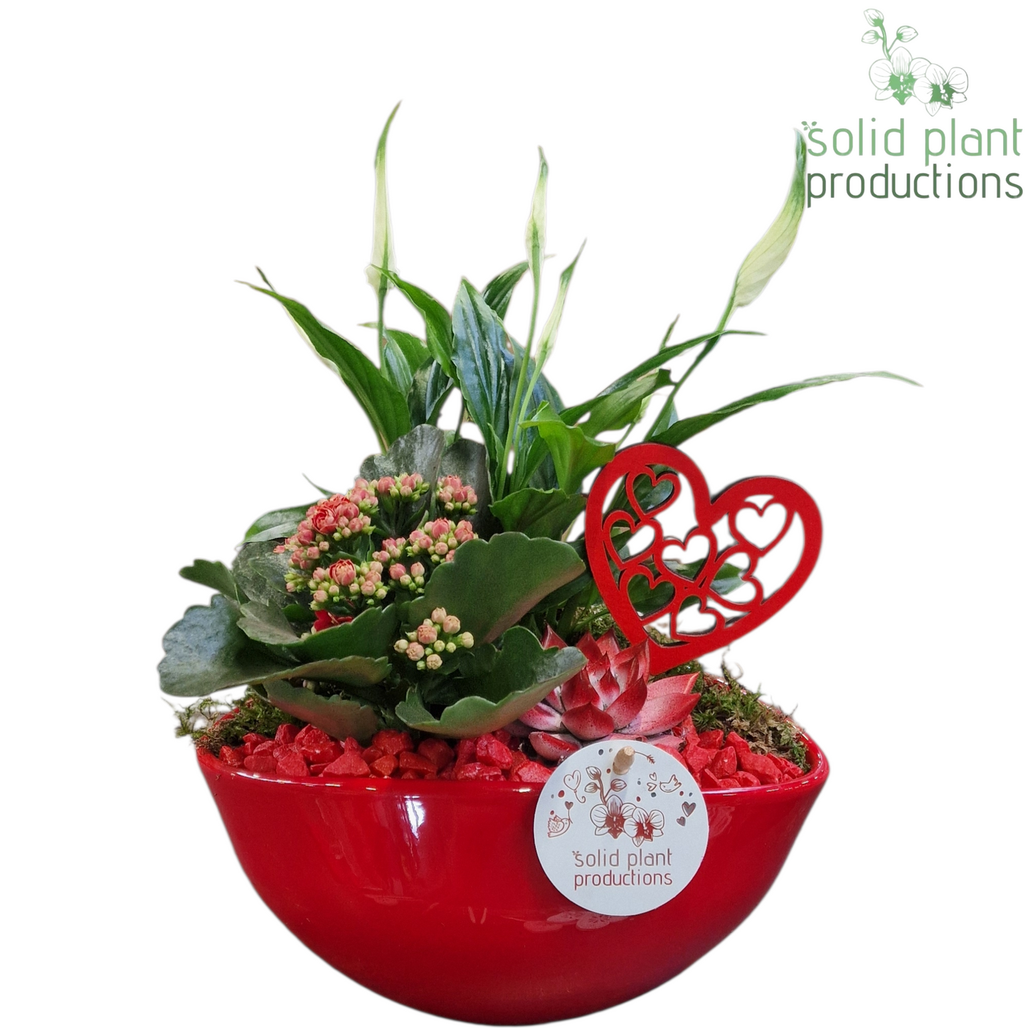 SE005 Evelyn Red VM 35cm 22cm Pot