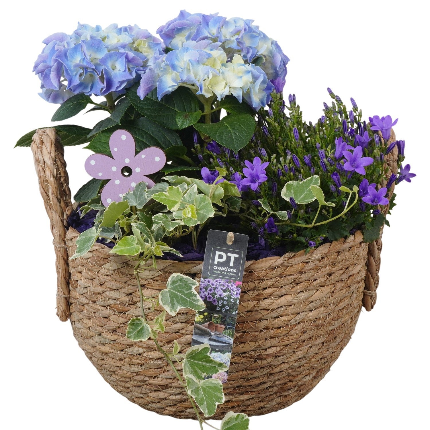 arr. PM196 33cm 25cm Pot