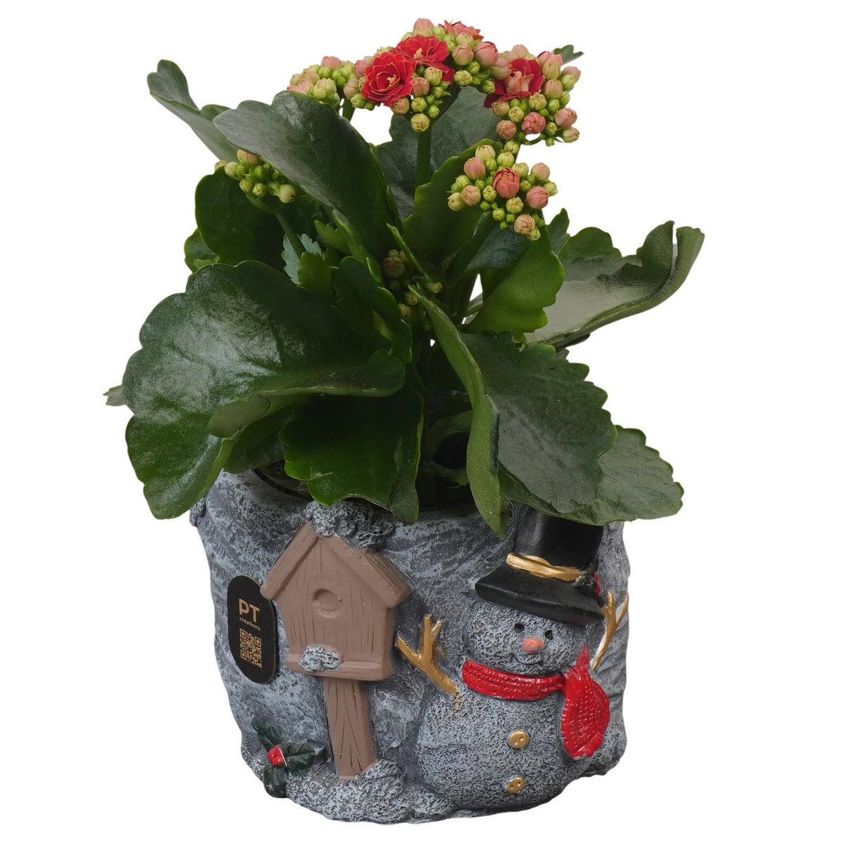 Christmas arrangement 21cm 13cm Pot
