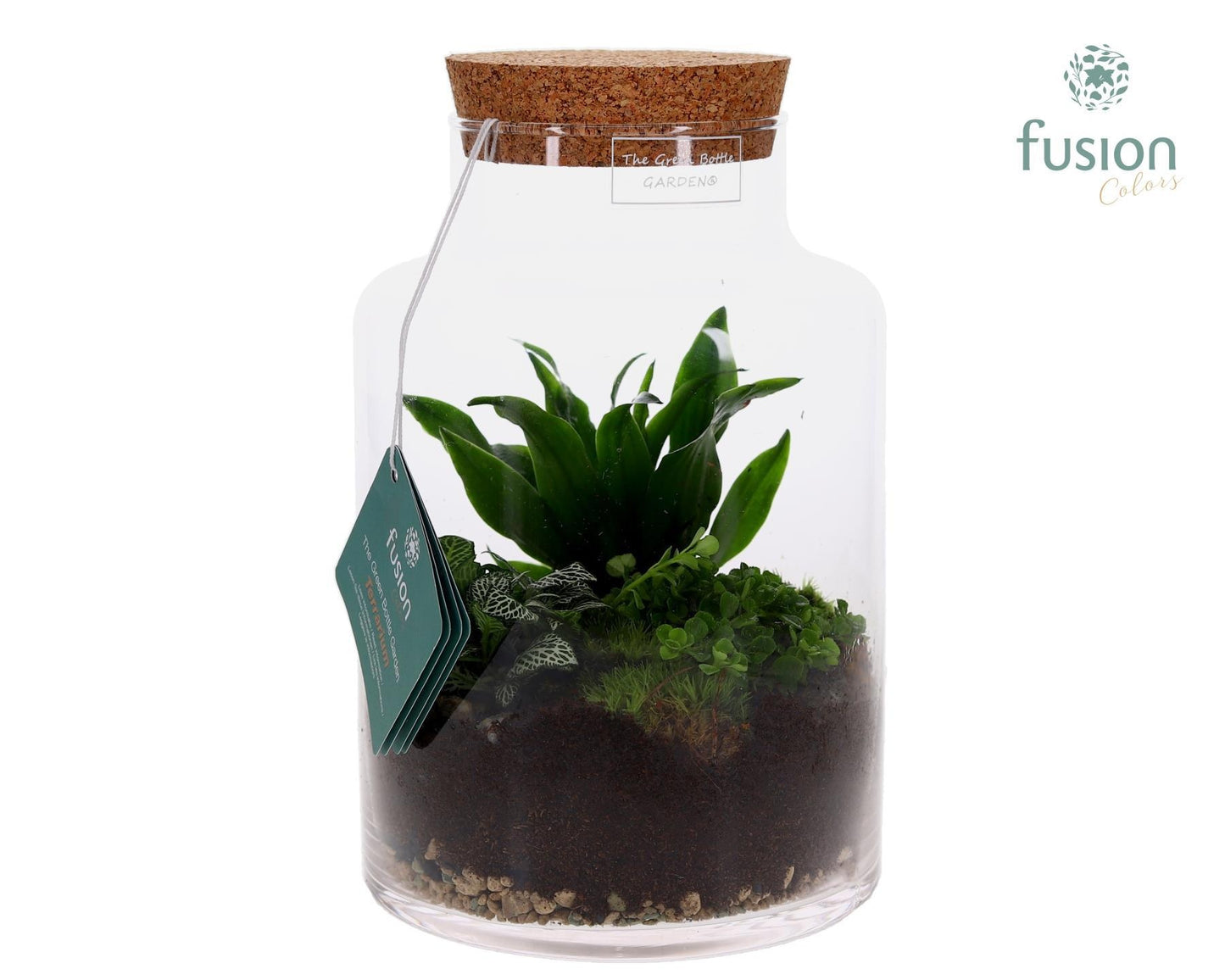 Glzen vaas met Terrarimum arrangement 25cm 17cm Pot