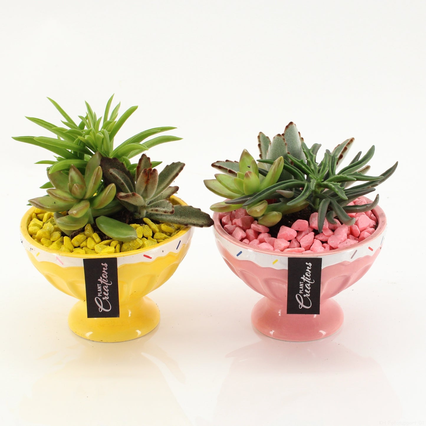 Indoor green arrangement 15cm 14cm Pot