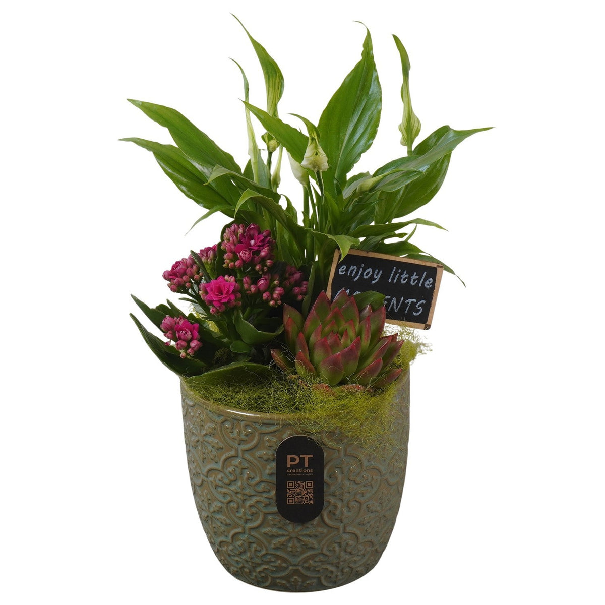 Indoor arrangement 30cm 12cm Pot