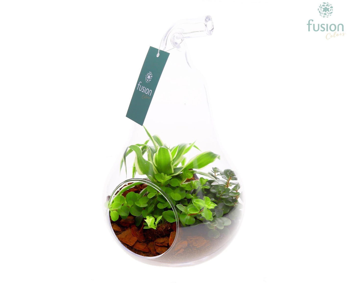 Fusioncolors BV Glas peer met arrangement 3pp Pack of 2
