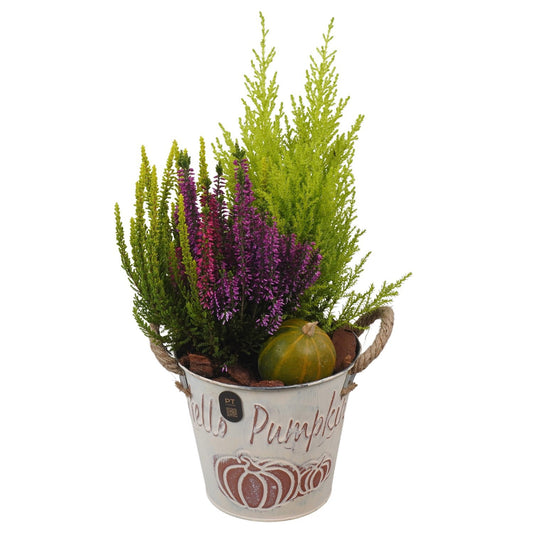 Outdoor arrangement 40cm 16cm Pot