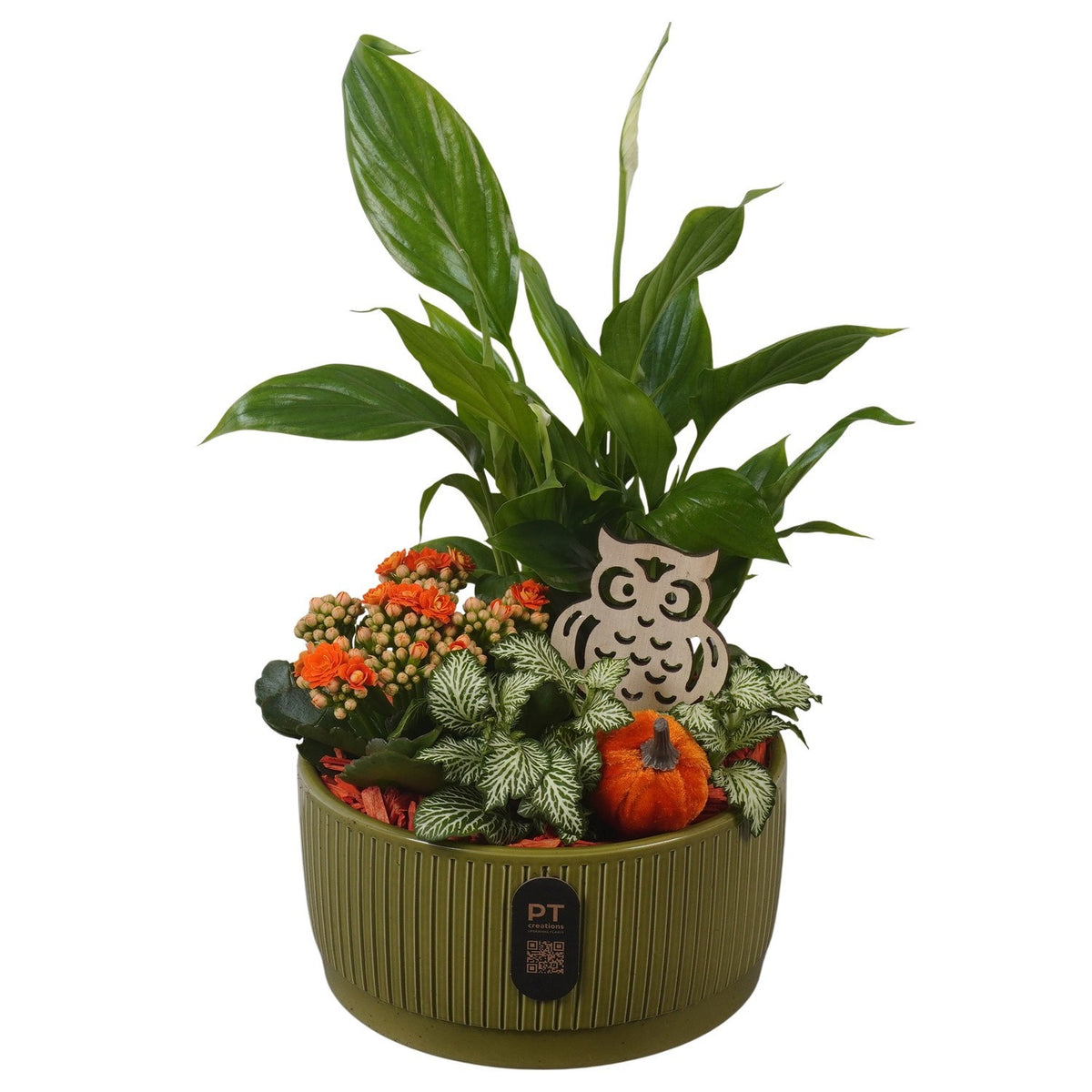 Indoor arrangement 35cm 19cm Pot