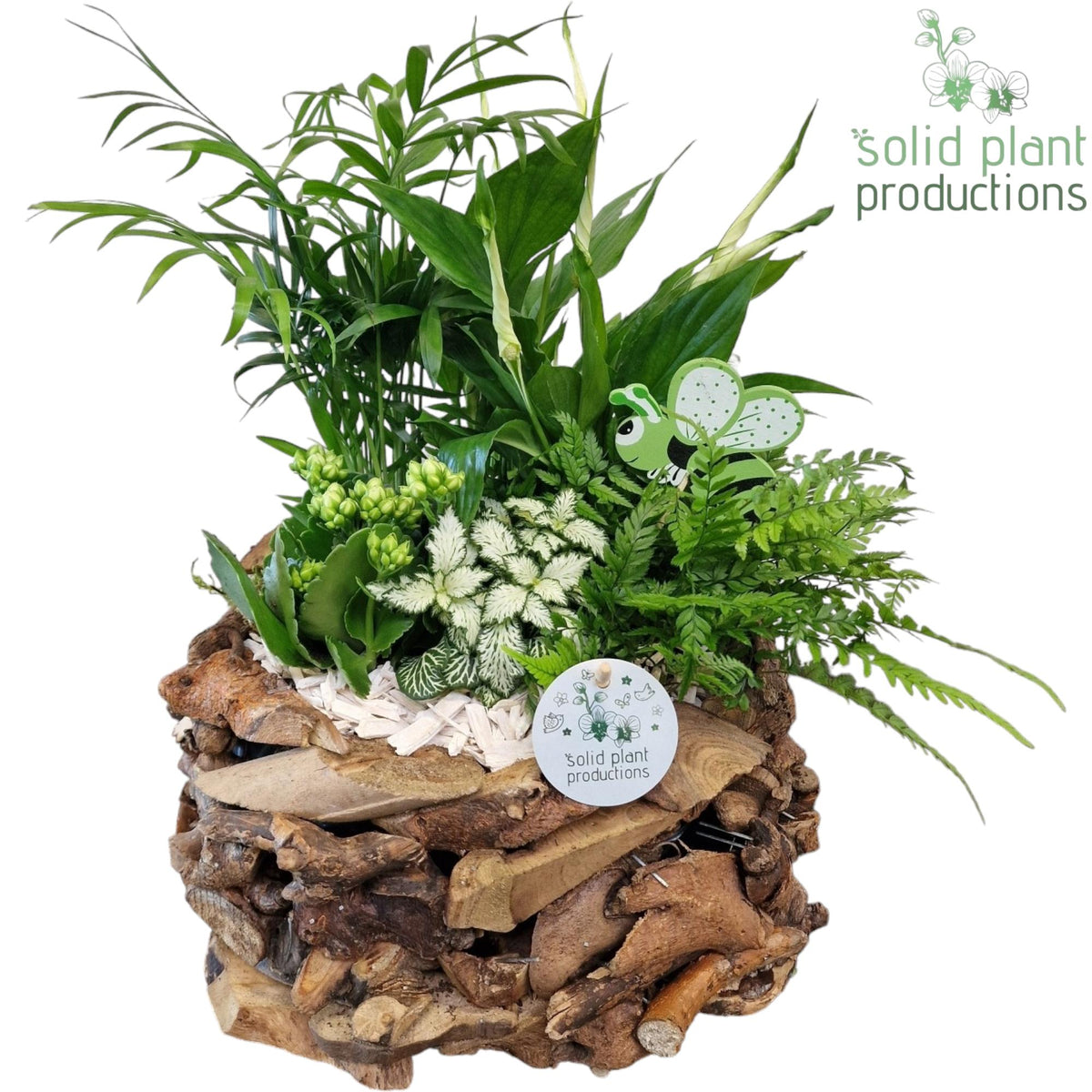 SC013 Driftwood Round White 45cm 31cm Pot
