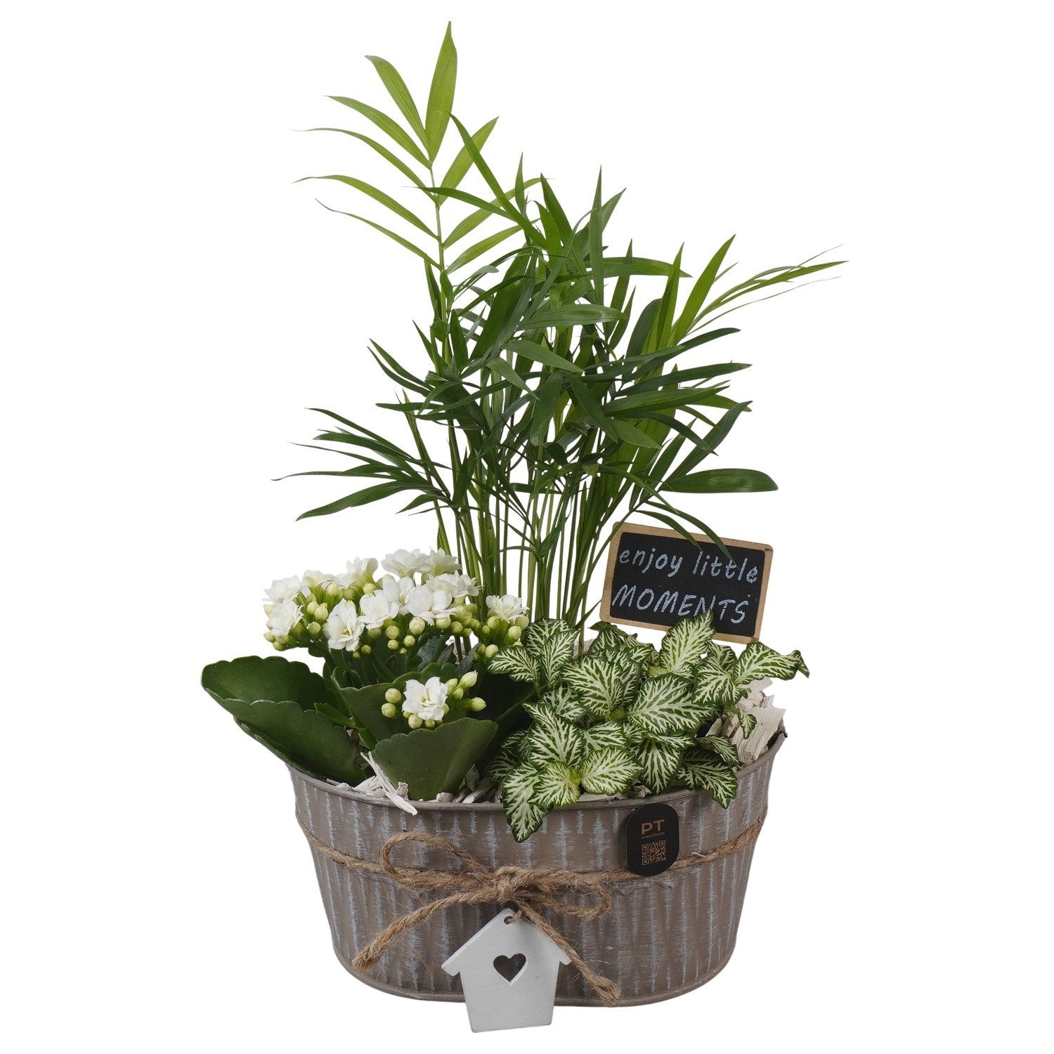 Indoor arrangement 32cm 19cm Pot