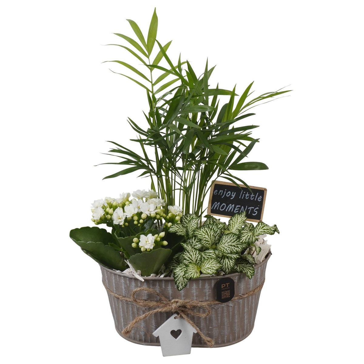 Indoor arrangement 32cm 19cm Pot