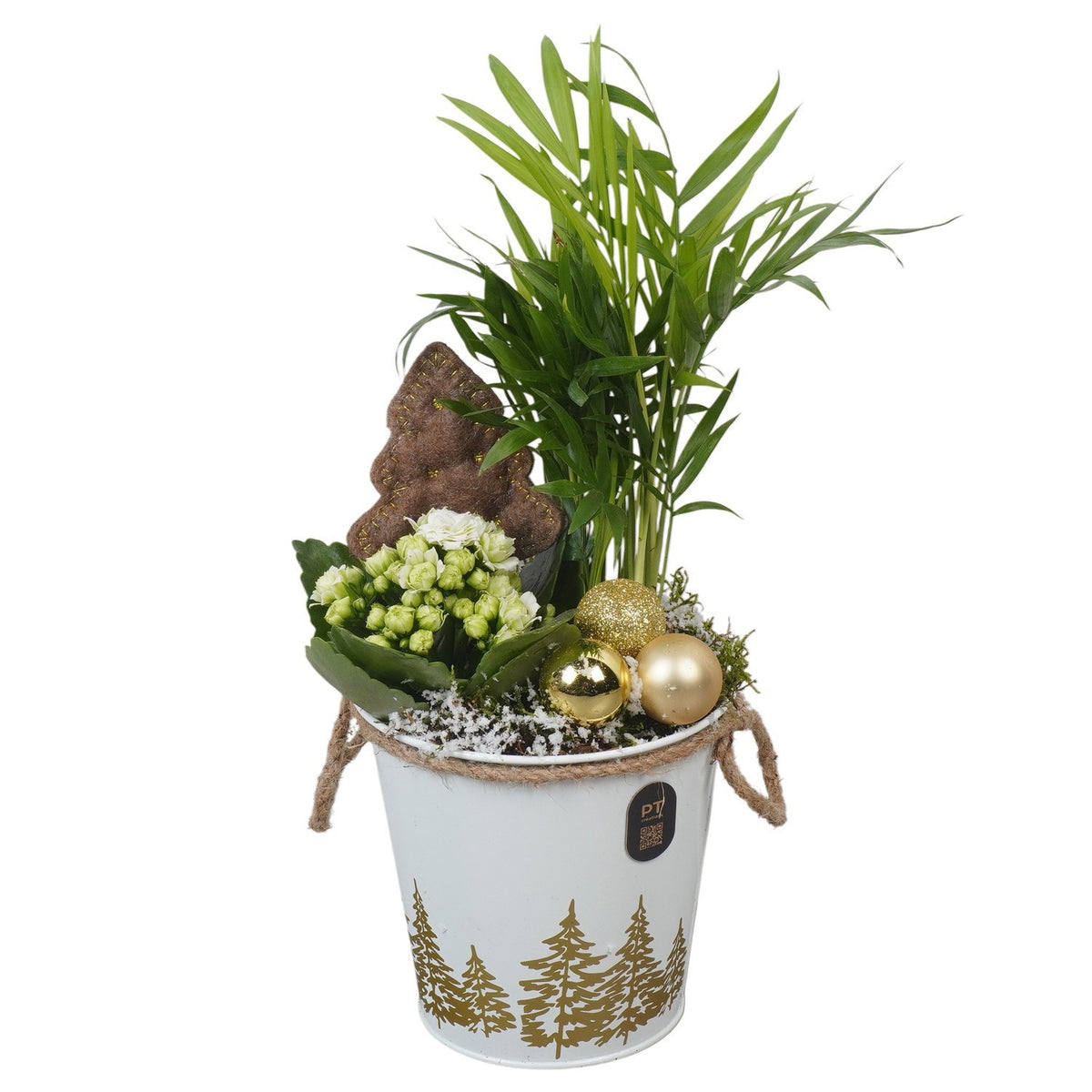 Christmas arrangement 34cm 13cm Pot