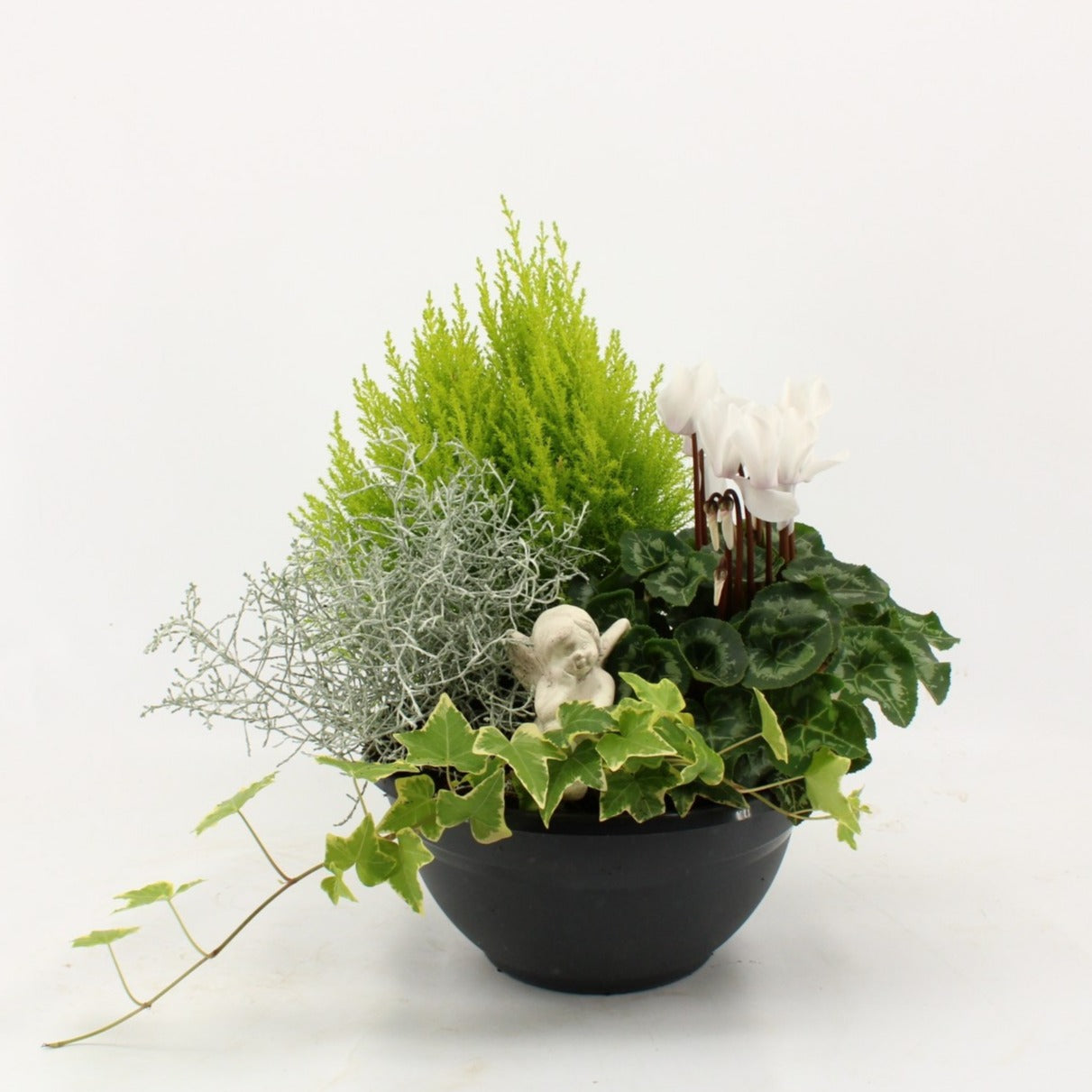 Bedding plants mixpot 40cm 27cm Pot