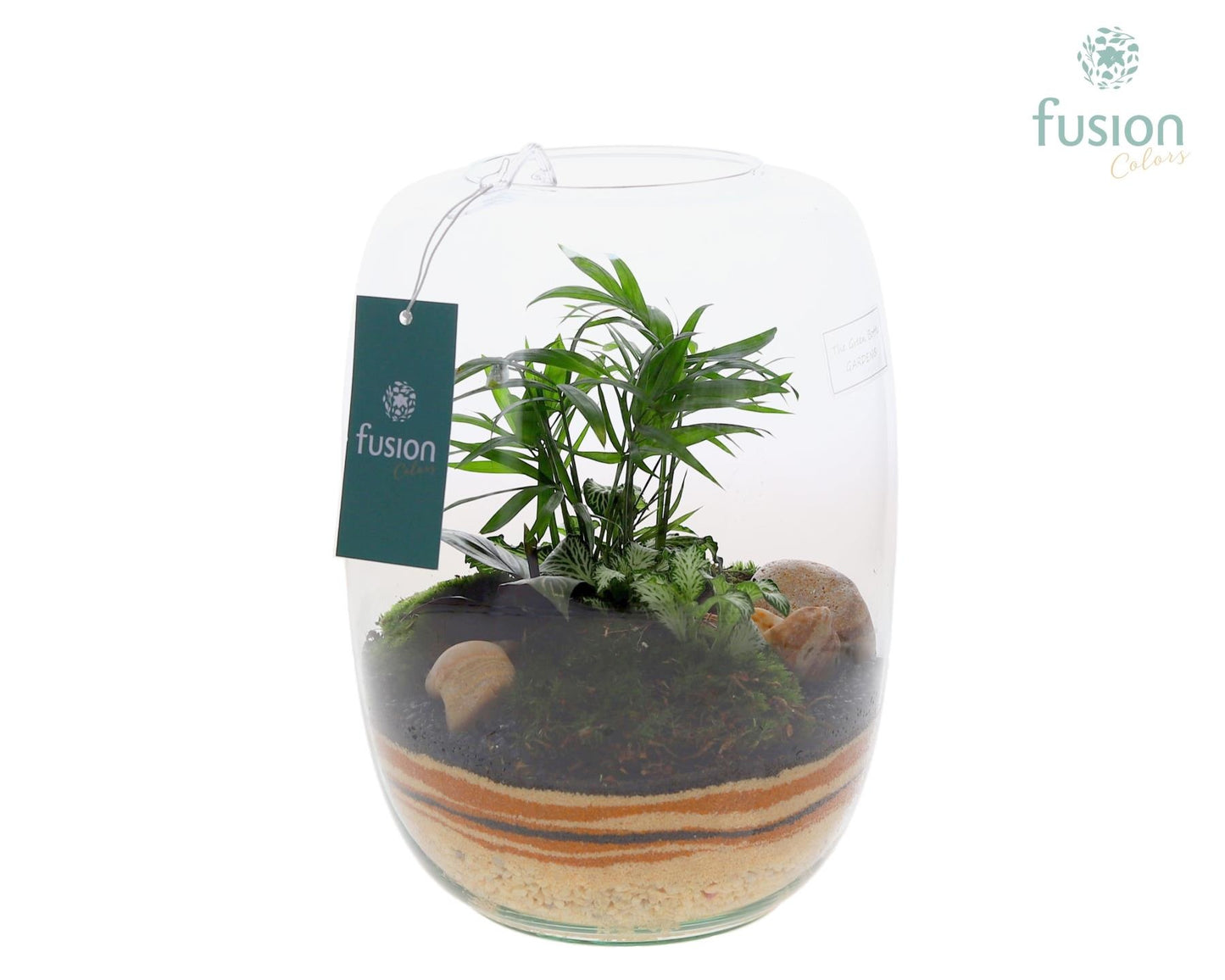 Fusioncolors BV Green Bottle Isabella Large met zand arrangement Pack of 2