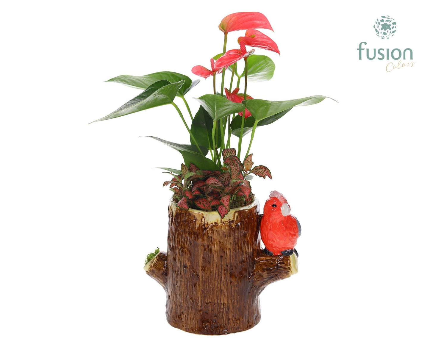 Keramiek boomstam planter met Arrangement 35cm 19cm Pot