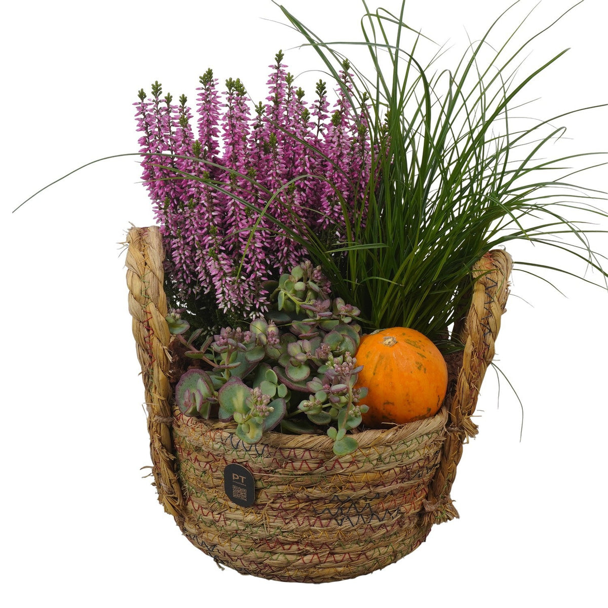 Outdoor arrangement 35cm 19cm Pot