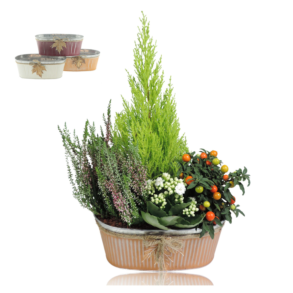Outdoor arrangement 40cm 26cm Pot