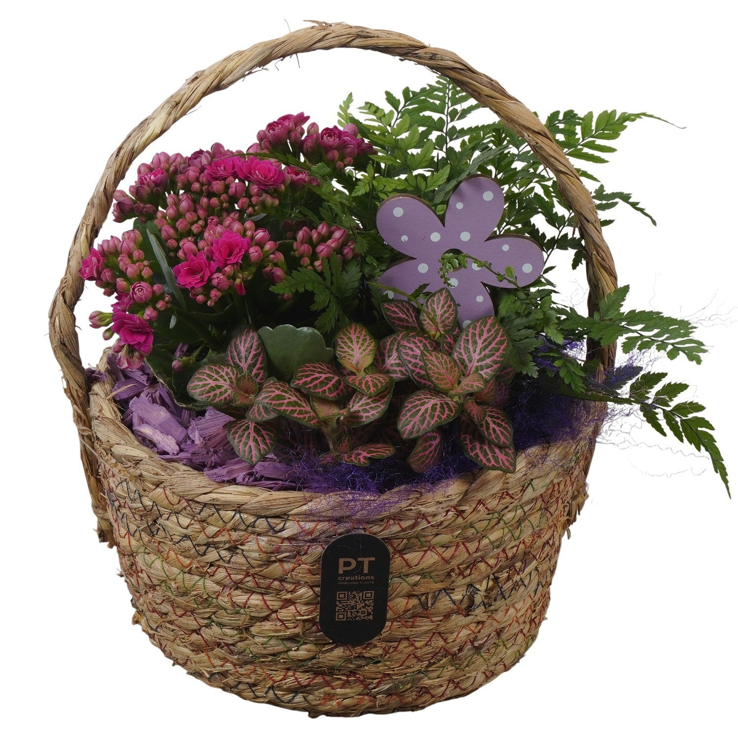 Indoor arrangement 26cm 19cm Pot