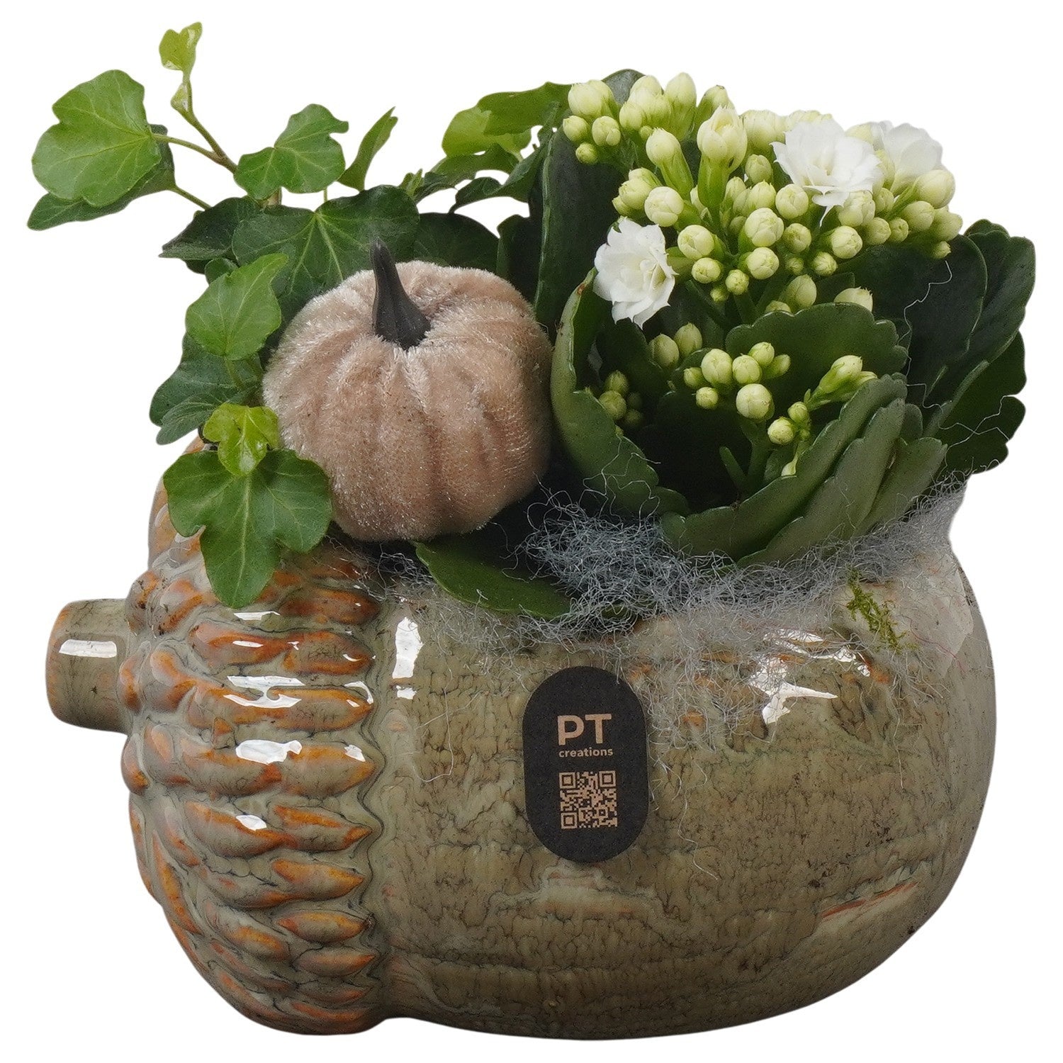 Indoor arrangement 16cm 15cm Pot