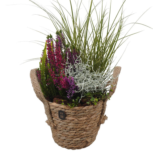 Outdoor arrangement 48cm 17cm Pot