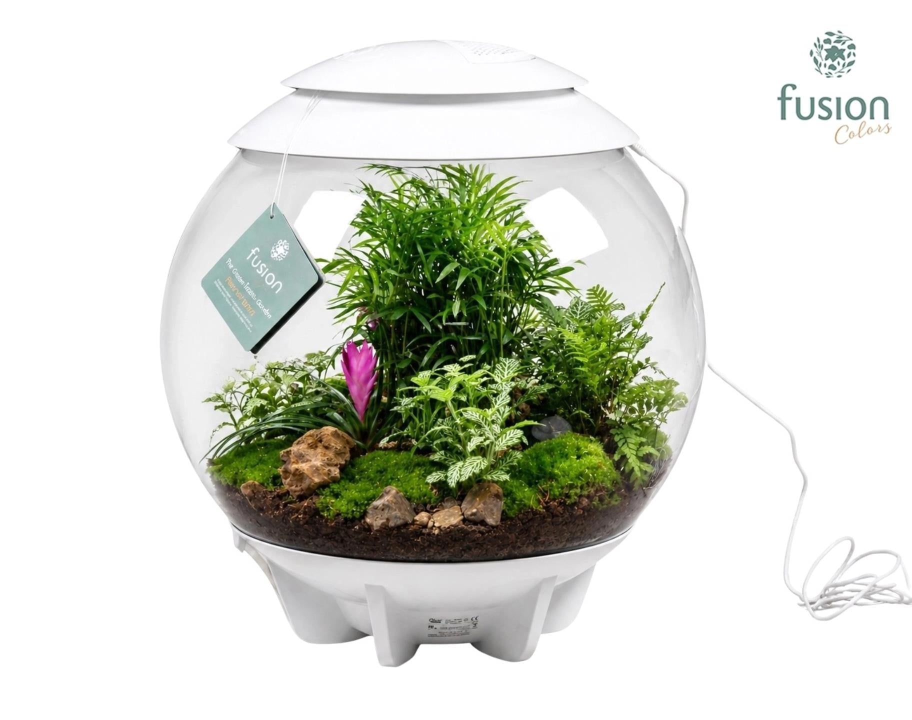 Terrarium XXL Exclusive wit met arrangement groene planten 11pp 55cm 45cm Pot