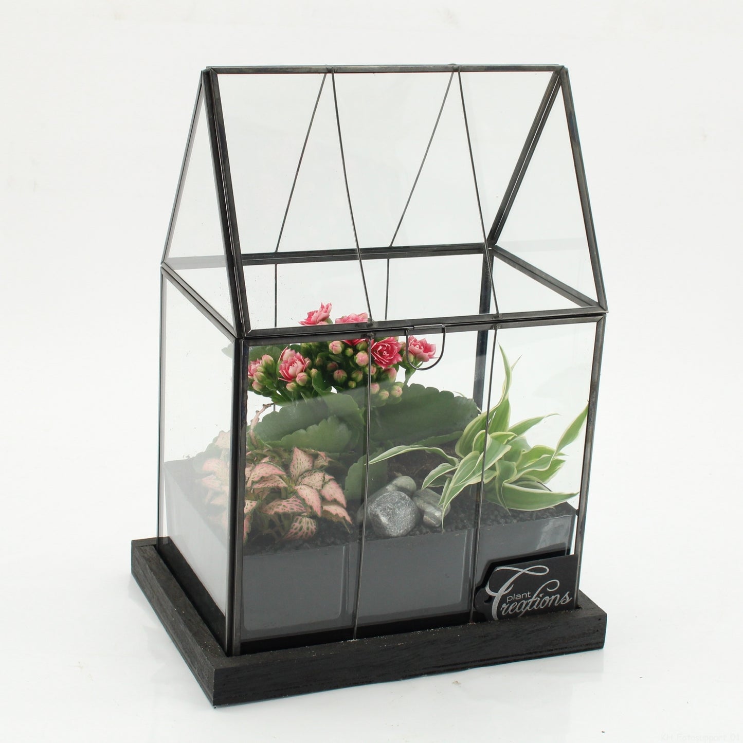 Indoor flowering arrangement 31cm 23cm Pot
