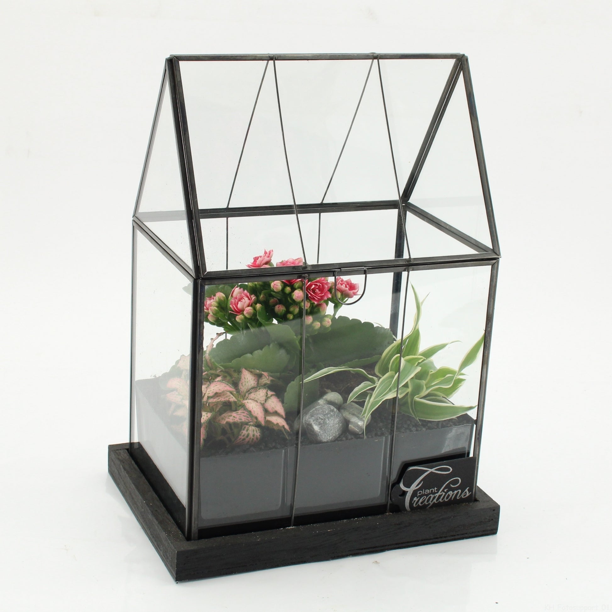 Indoor flowering arrangement 31cm 23cm Pot