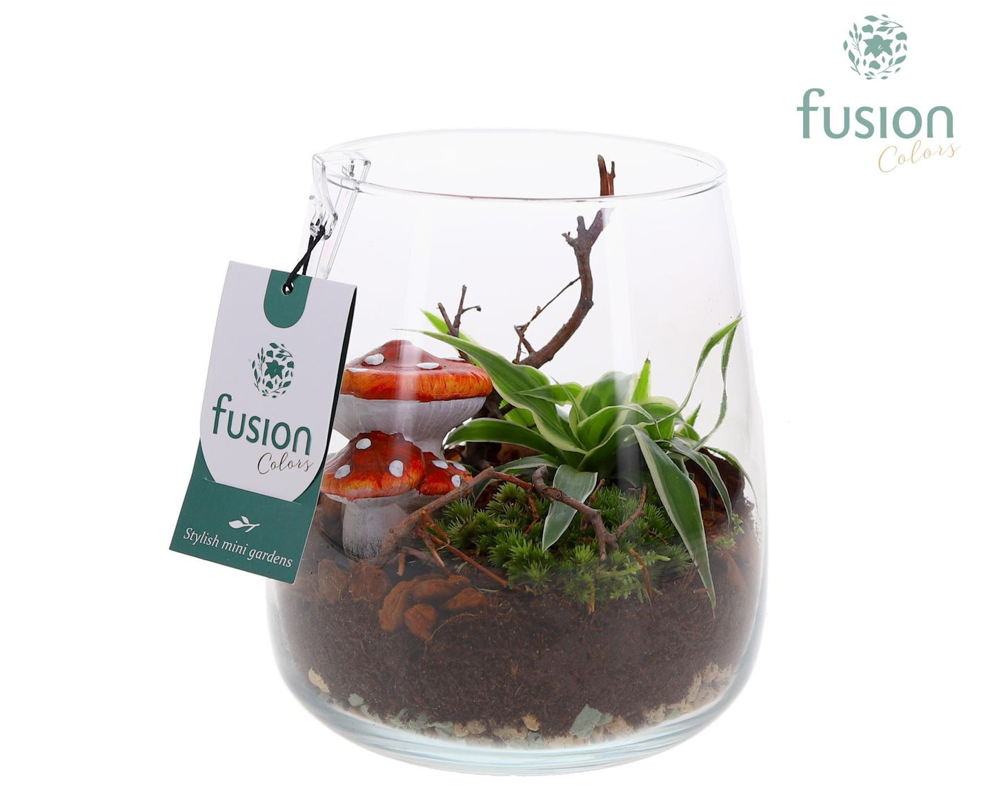 Fusioncolors BV Glas Alzada klein met Herfst arrangement Pack of 6