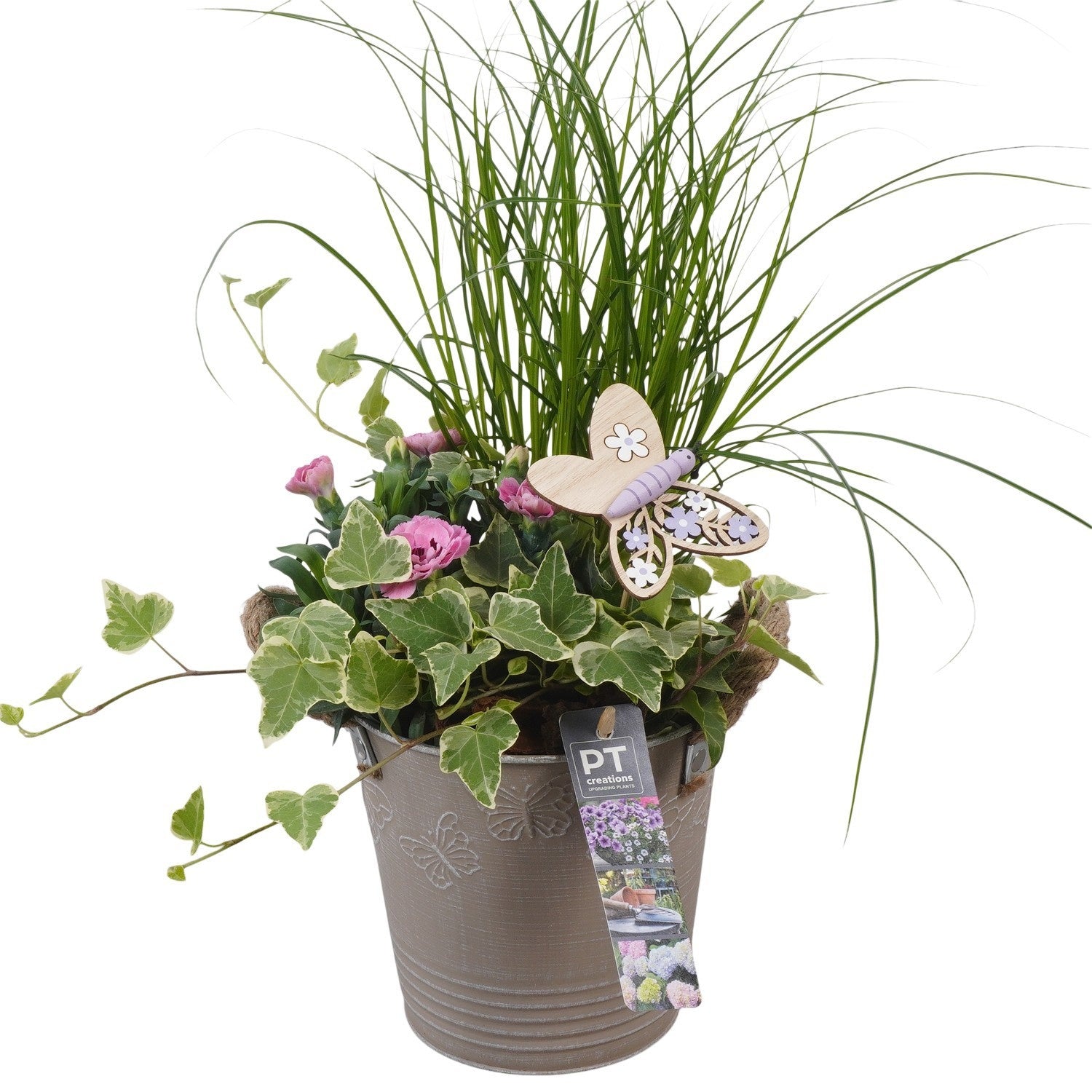 Outdoor arrangement 42cm 15cm Pot