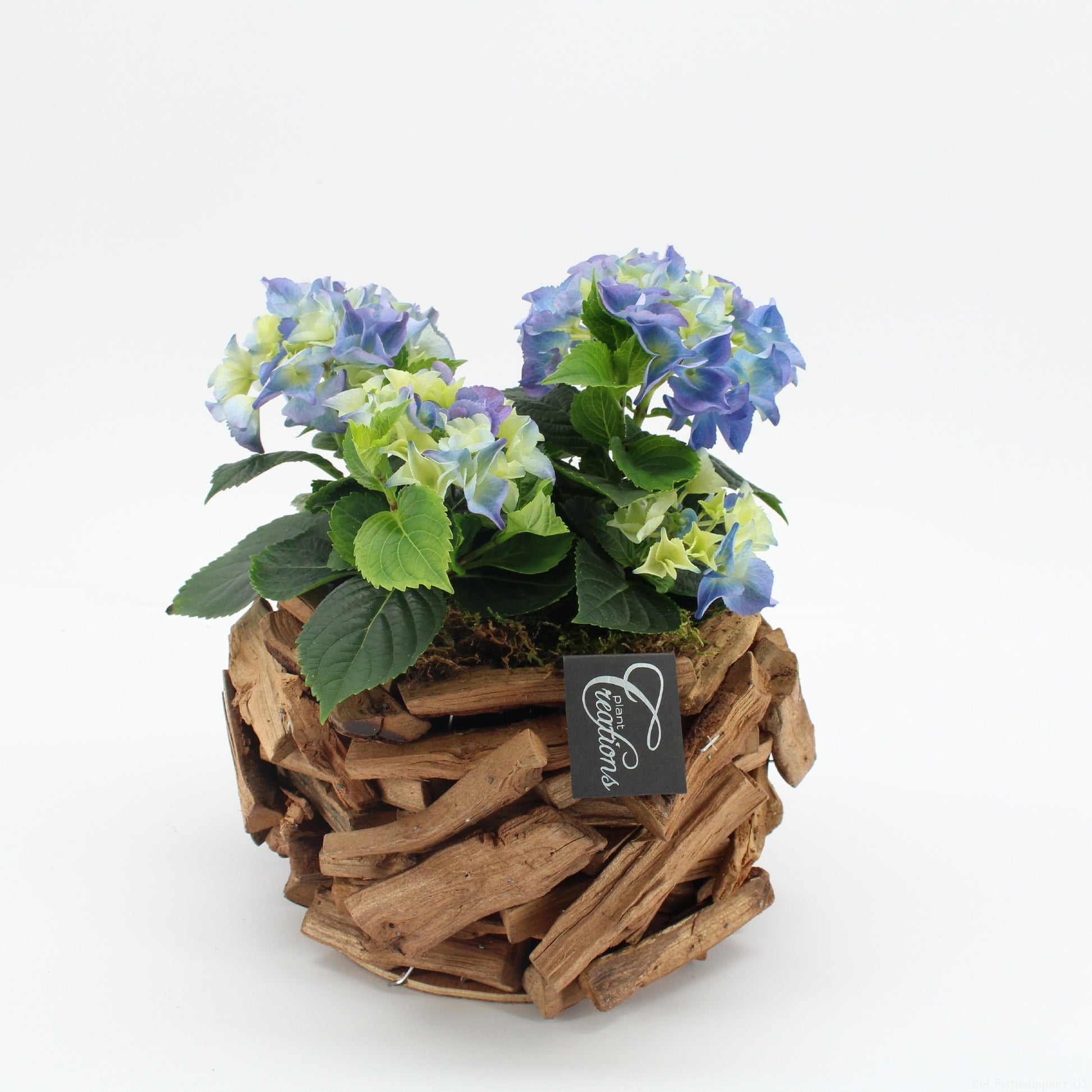 KHCR-2624B Hydrangea creatie 30cm 20cm Pot