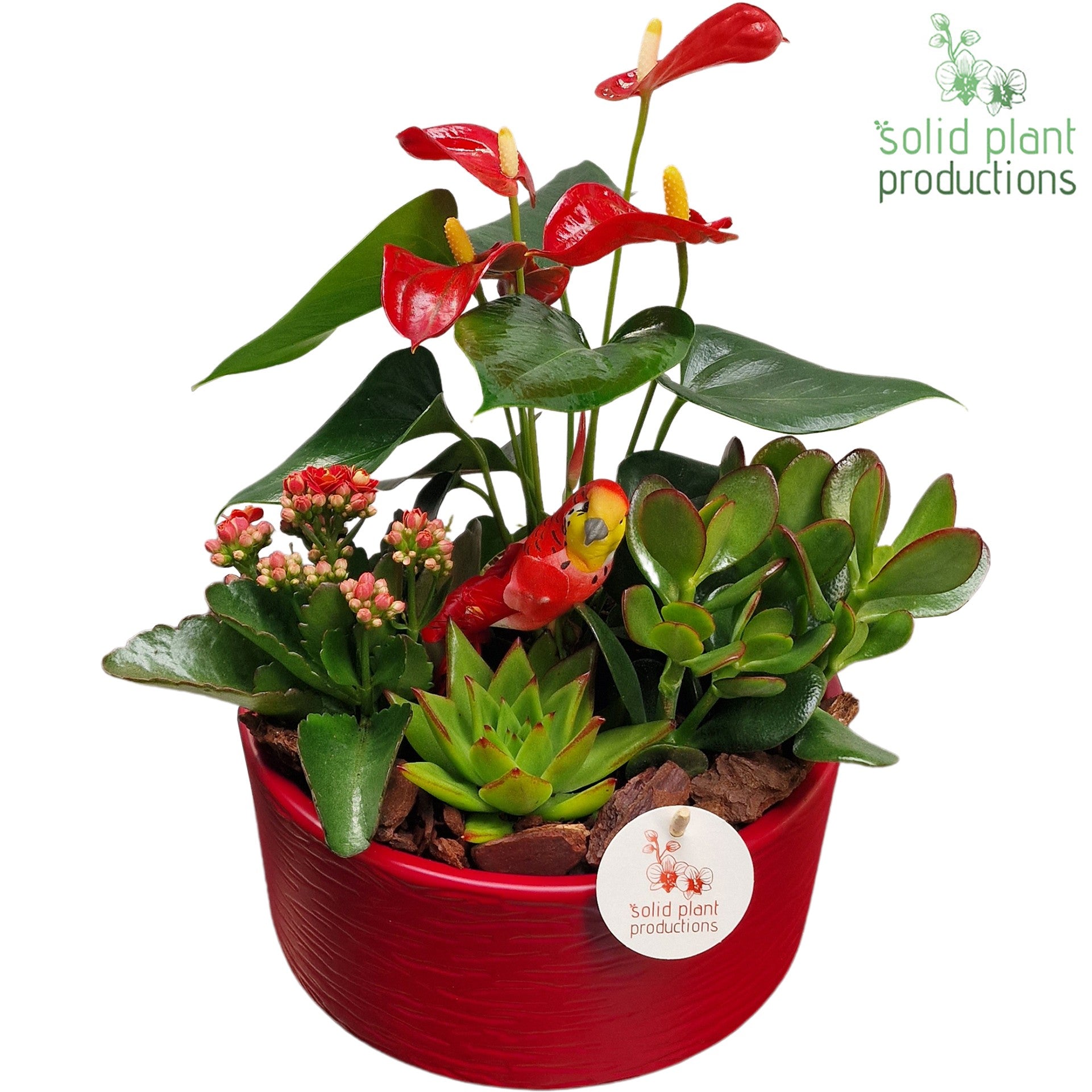 AT004 Stella Red 42cm 22cm Pot