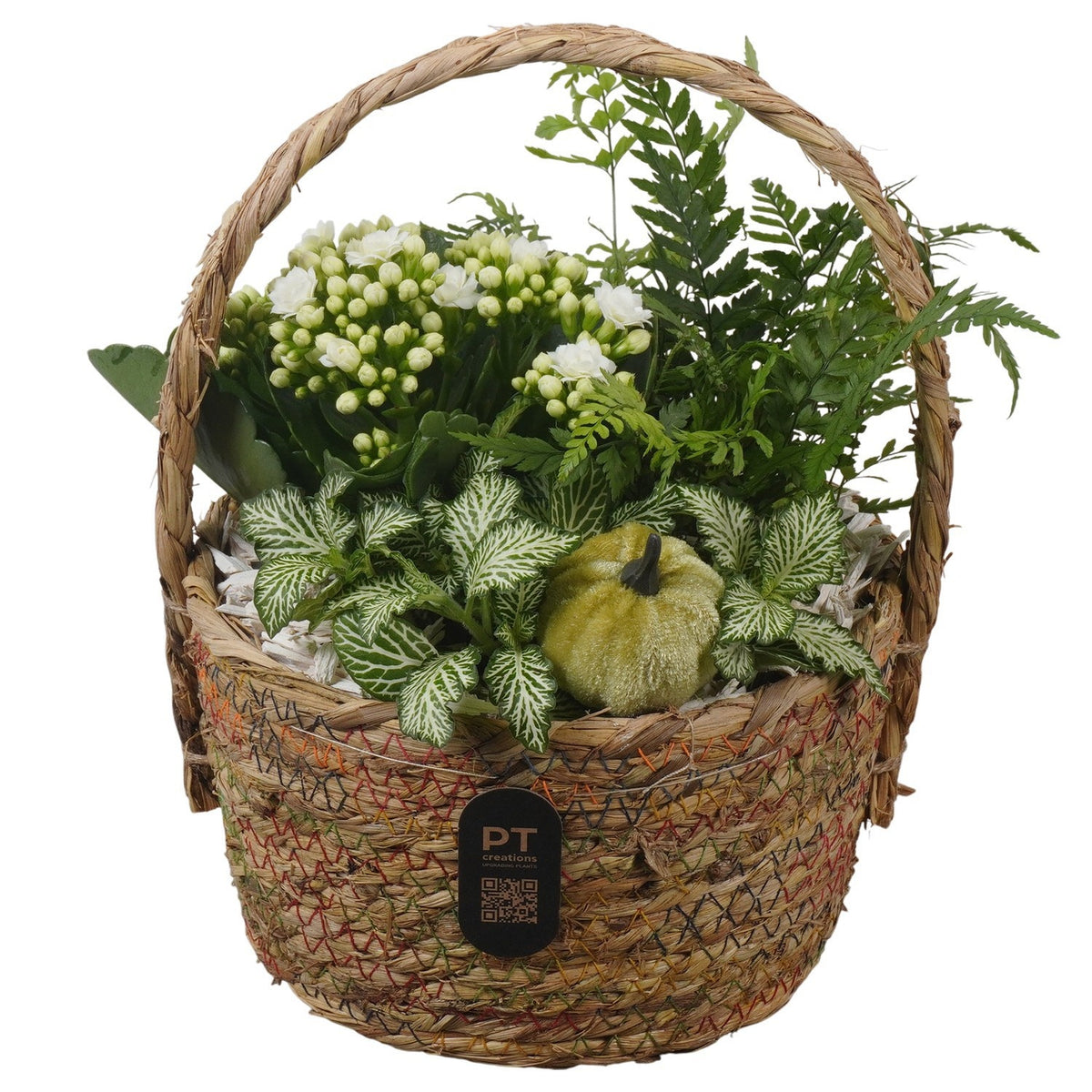 Indoor arrangement 24cm 19cm Pot