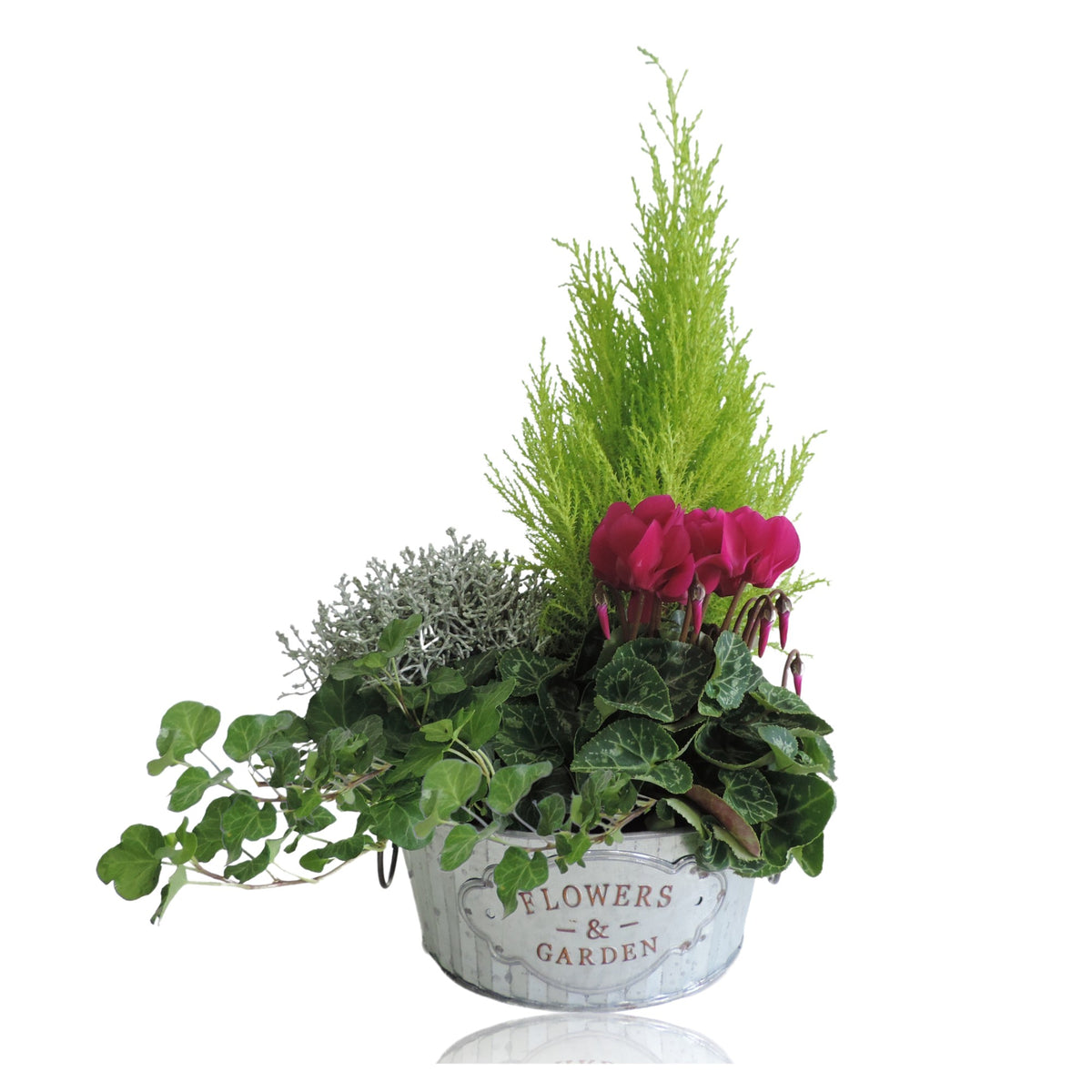 Outdoor arrangement 40cm 21cm Pot