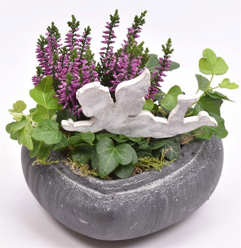 arr. all saints day 15cm Pot