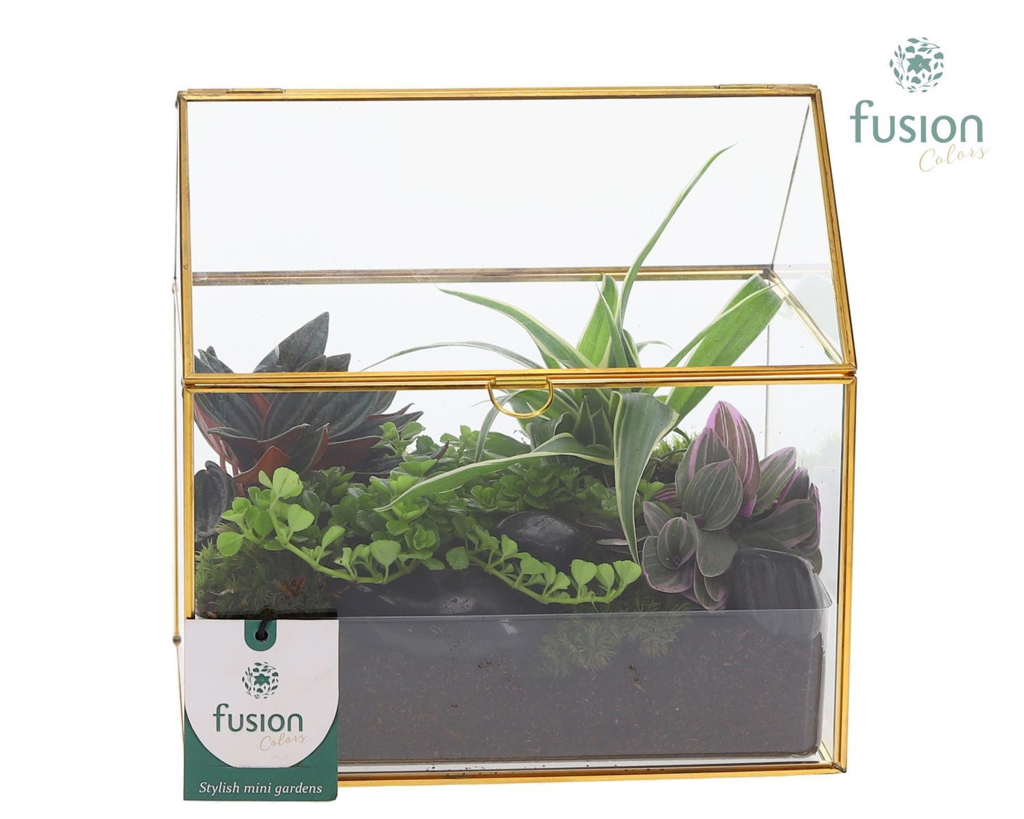 Glazen huis met arrangement 20cm 15cm Pot