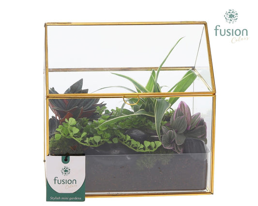 Geometrisch huis met arrangement 20cm 15cm Pot