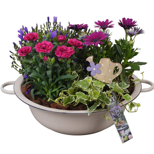 arr. PM196 23cm 30cm Pot
