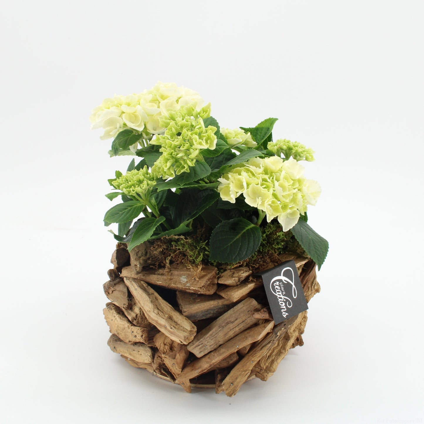 KHCR-2624W Hydrangea creatie 30cm 20cm Pot