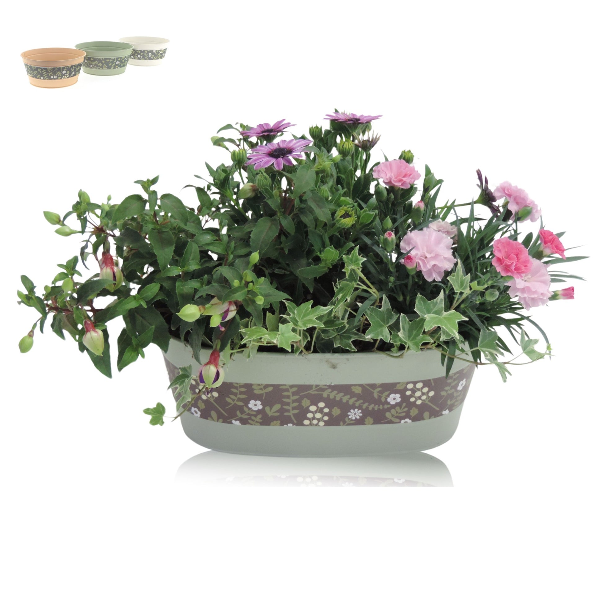 Outdoor arrangement 30cm 26cm Pot