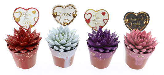 Miranda sprinkle + love etiket 15cm 12cm Pot