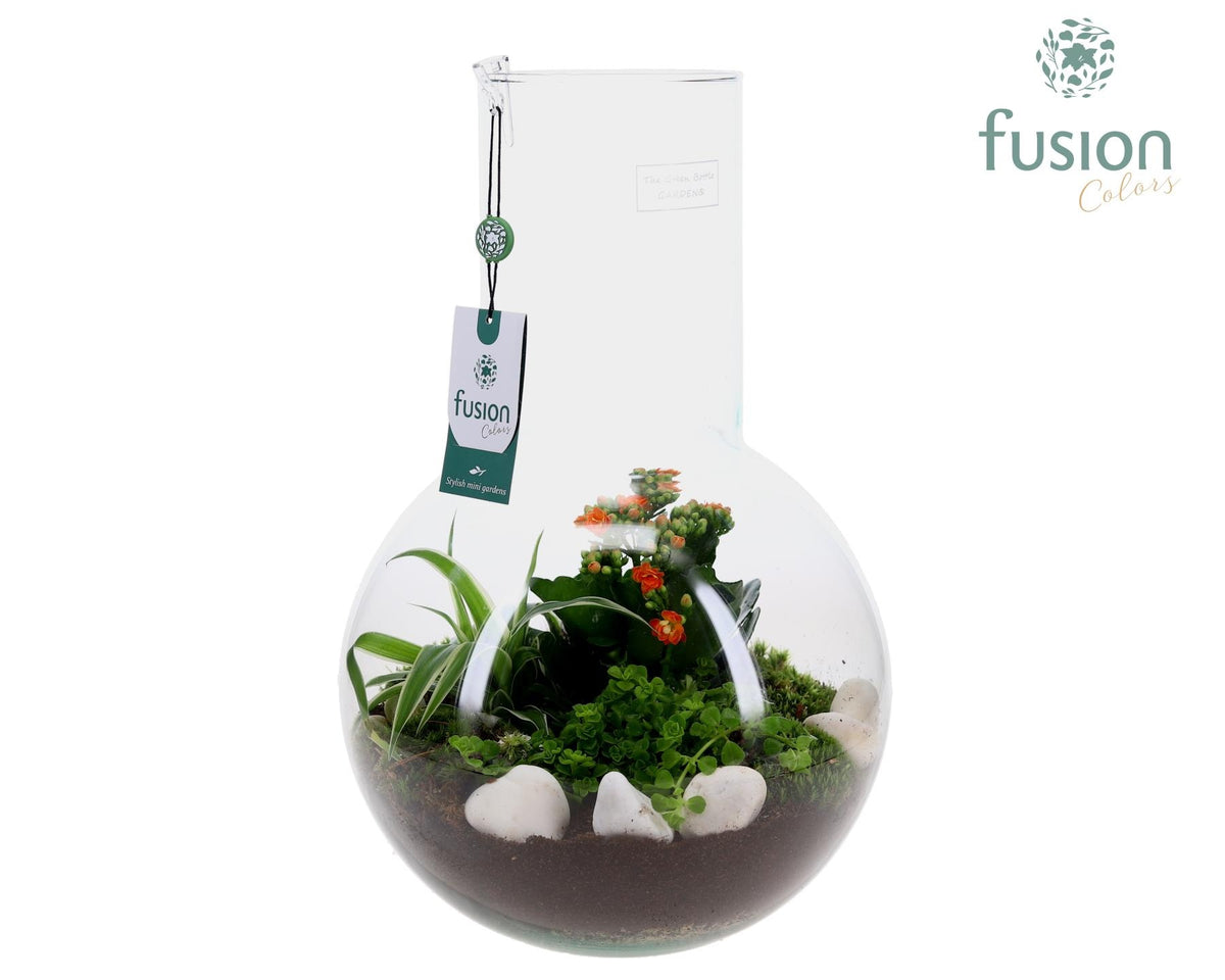 Green Bottle Suzanne Large met arrangement 43cm 26cm Pot