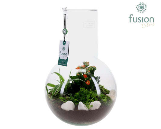 Green Bottle Suzanne Large met arrangement 43cm 26cm Pot