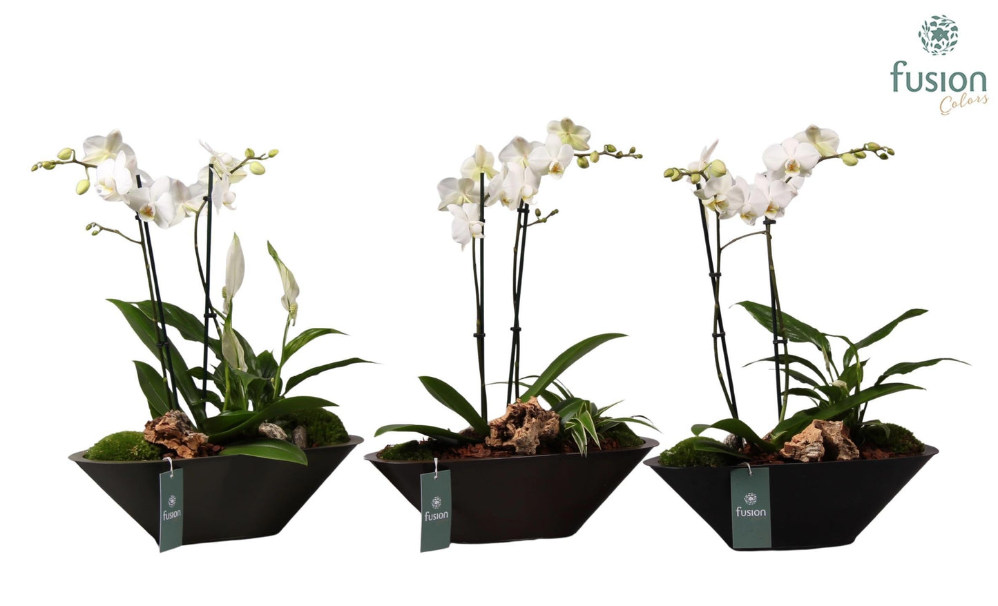 Metalen bootvorm pot met D35 H45 55cm 35cm Pot
