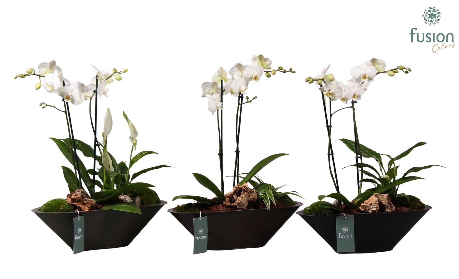Metalen bootvorm pot met D35 H45 55cm 35cm Pot