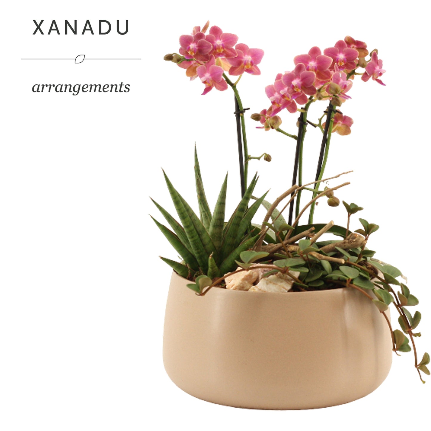 Xanadu Dublin 40cm 24cm Pot
