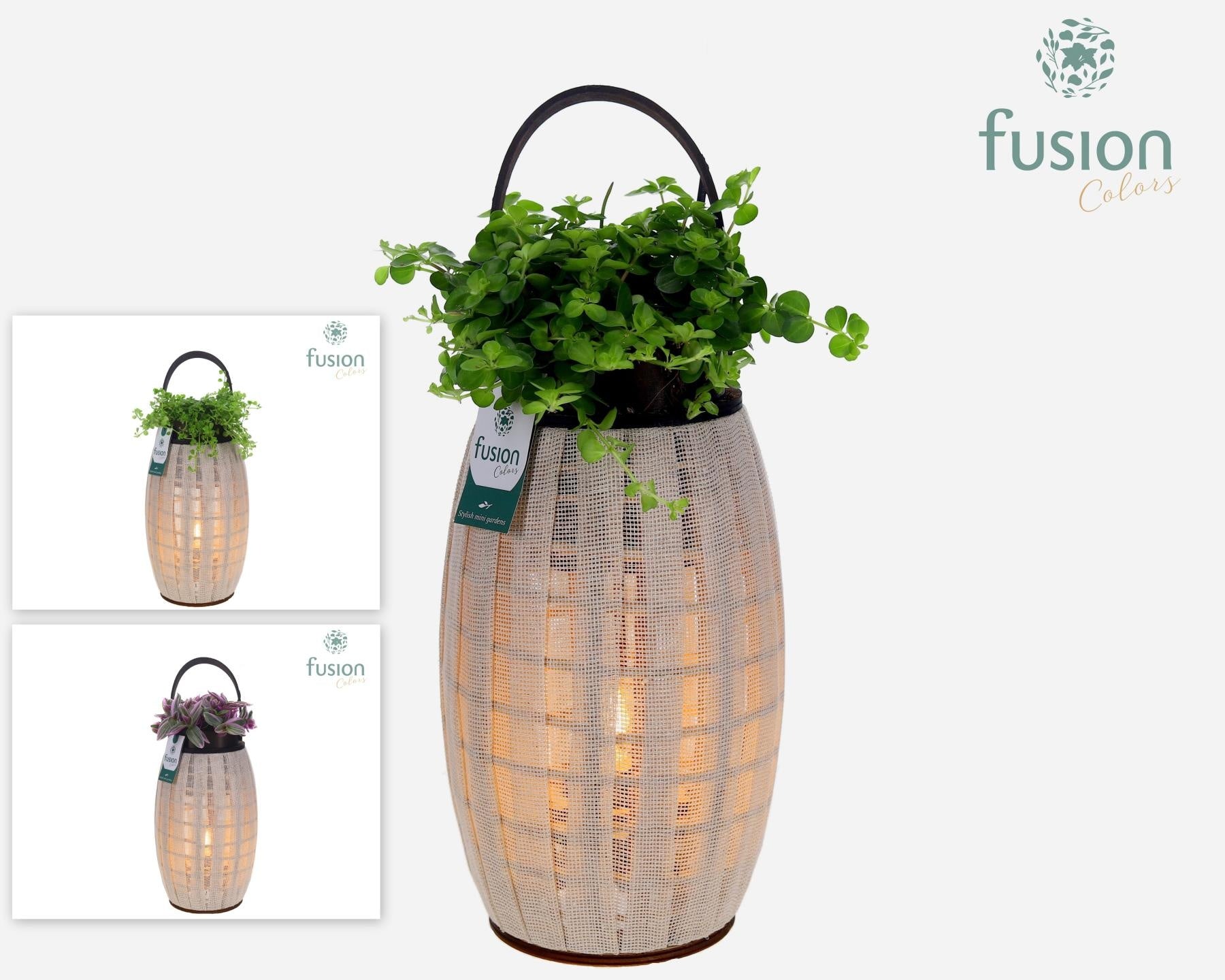 Houten Lantaarn met verlichting met groene planten mix 43cm 23cm Pot