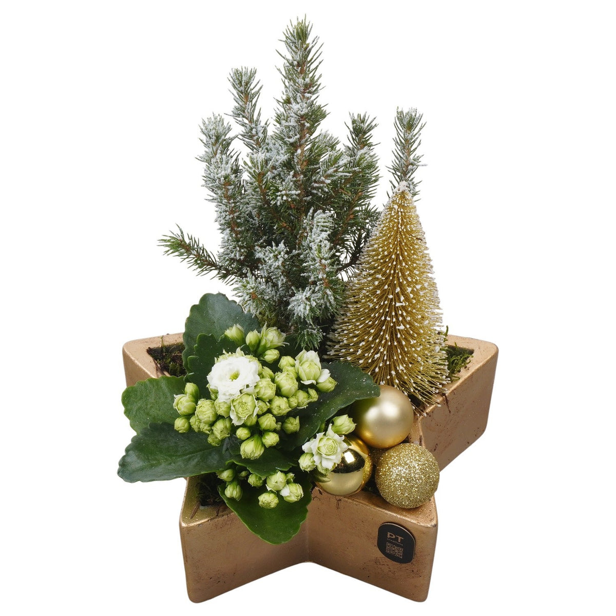 Christmas arrangement 26cm 20cm Pot