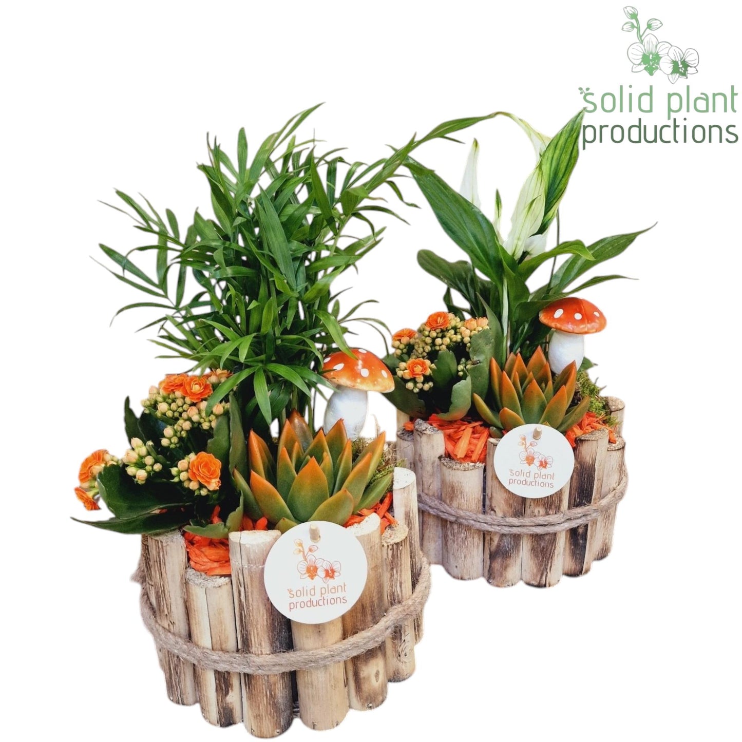 HSCE001 Milano Small Autumn Orange 35cm 17cm Pot