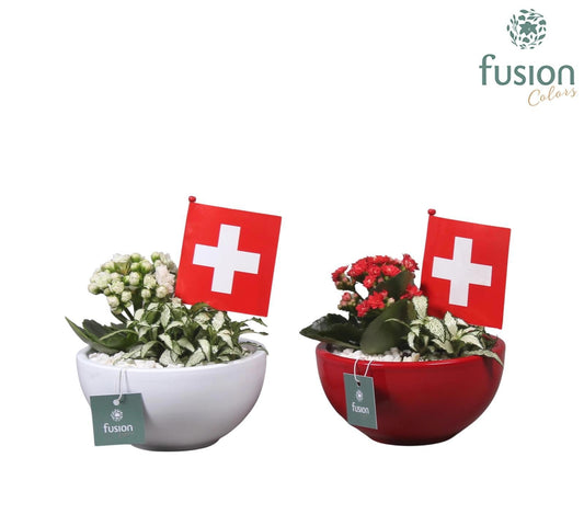 Keramiek moonschaal met arrangement en de vlag van Zwitserland 2pp 20cm 15cm Pot