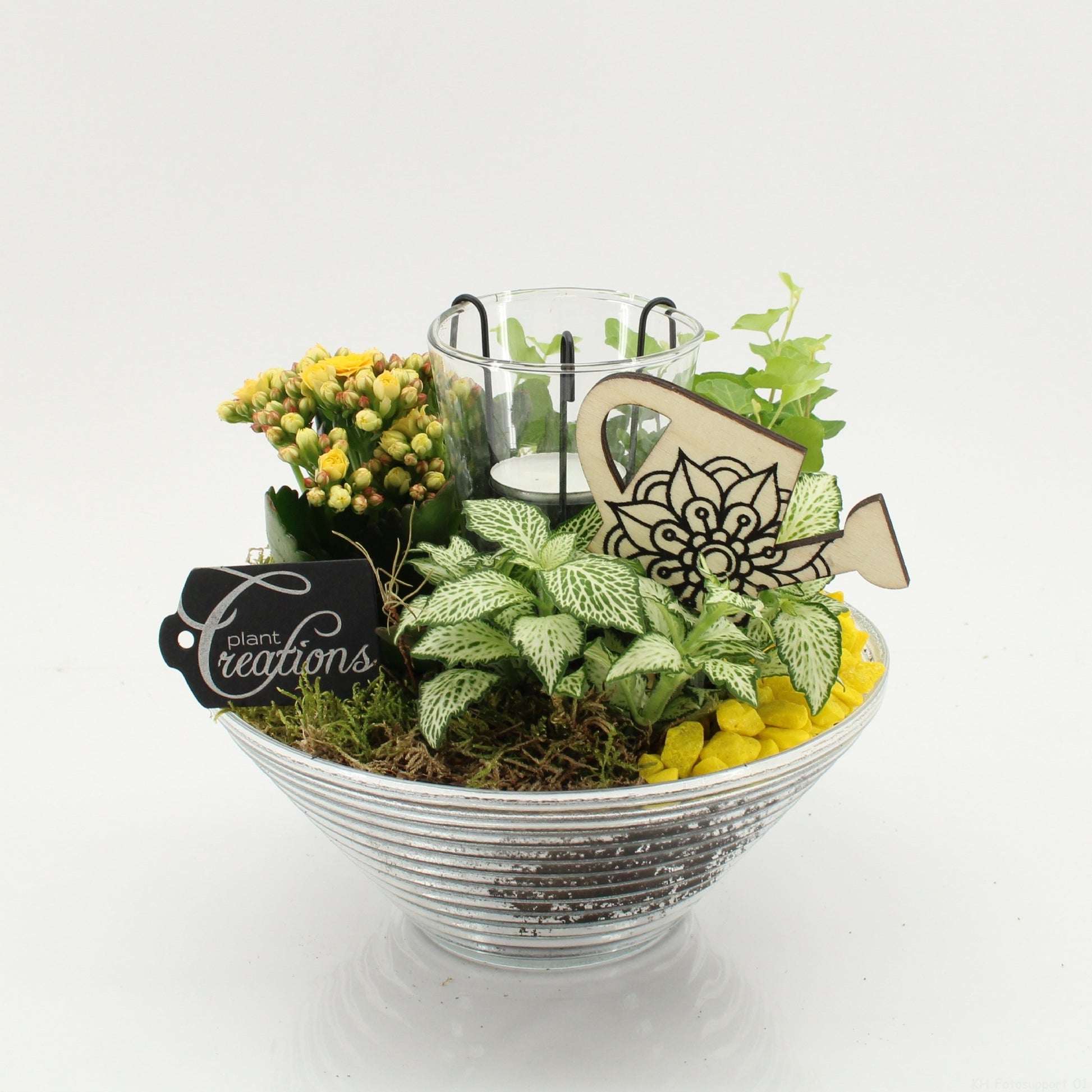 FDCR-2603G Basic Fundamentals 20cm 20cm Pot