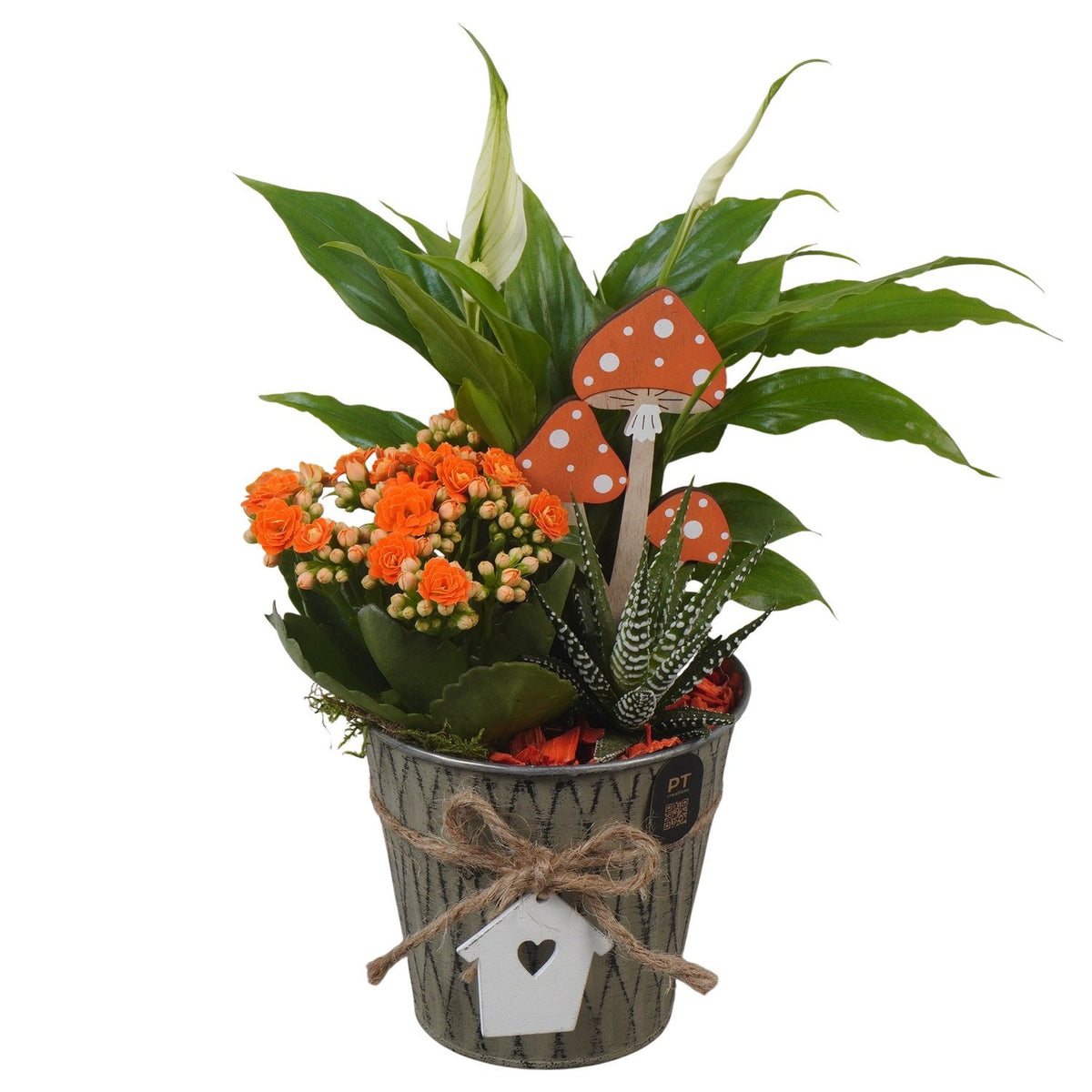 Indoor arrangement 32cm 12cm Pot