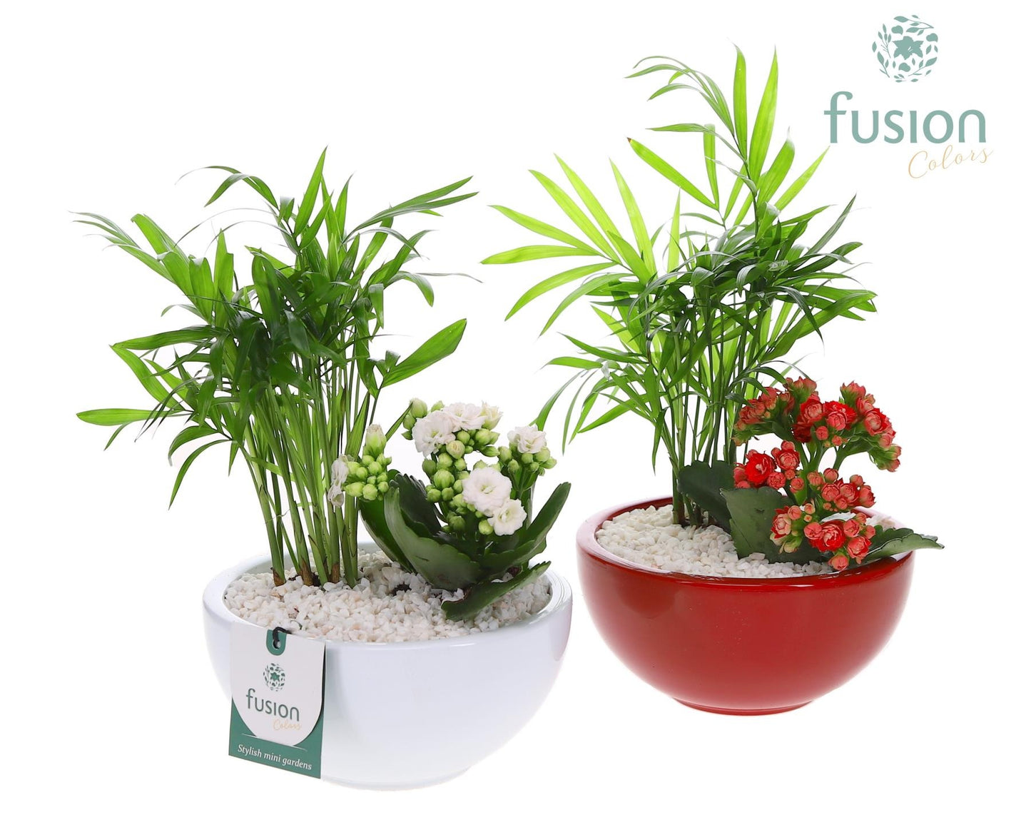 Fusioncolors BV Schaal keramiek Moon Small wit en rood met arrangement Pack of 6